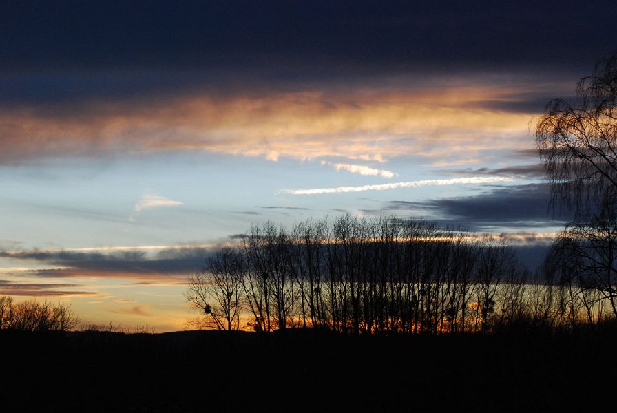 DSC 0405
