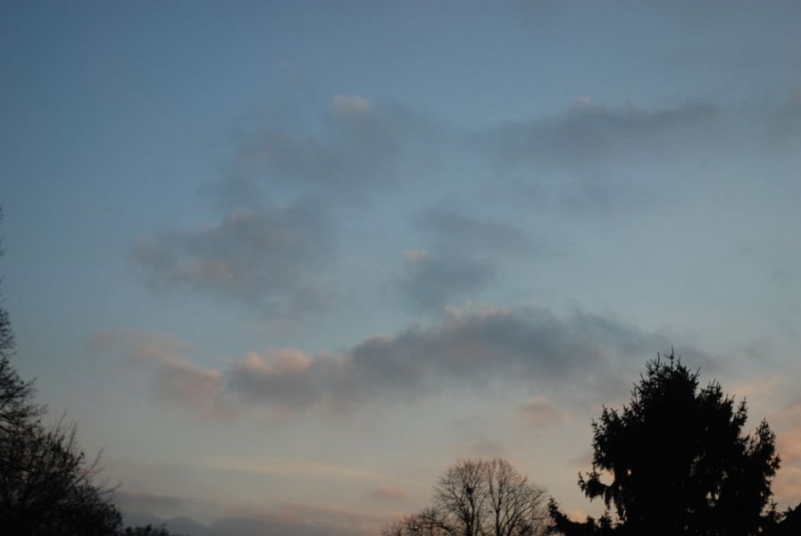 ciel -(143)