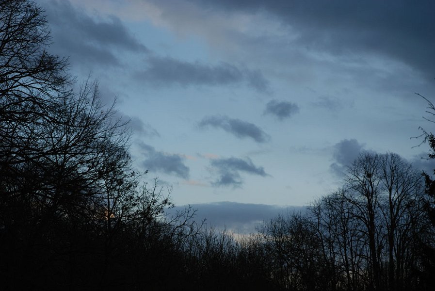 ciel -(223)