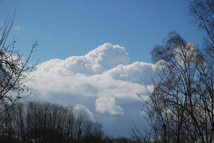 ciel -(243)