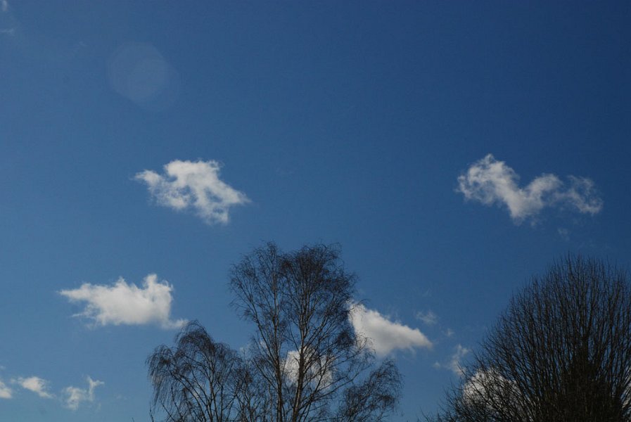 ciel -(254)
