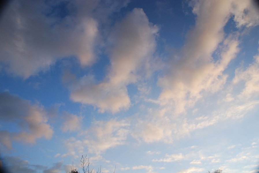 ciel -(265)