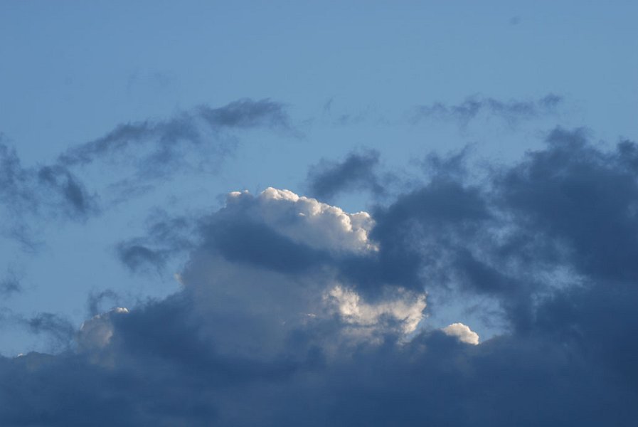 ciel -(27)
