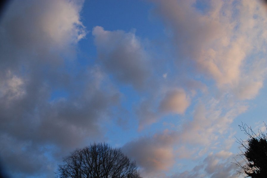 ciel -(274)