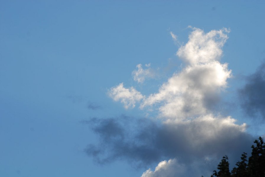 ciel -(28)