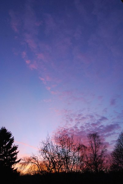 ciel -(173)
