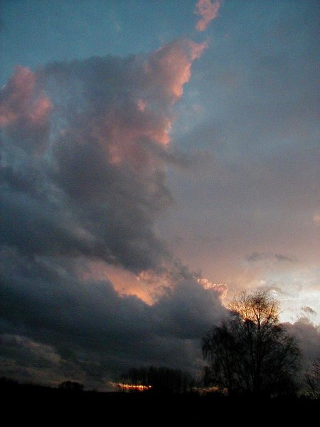 ciel -(311)