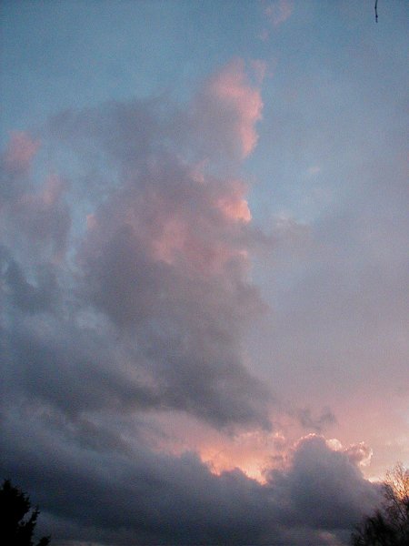 ciel -(314)