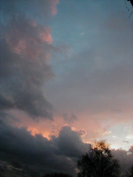 ciel -(315)
