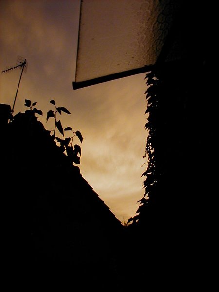 ciel -(378)