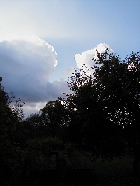 ciel -(422)