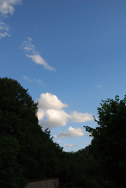 ciel -(449)