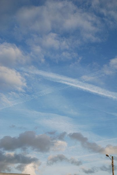 ciel -(48)