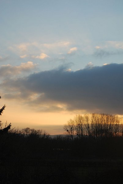 ciel -(59)