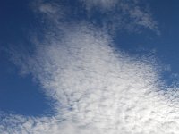 ciel -(201)