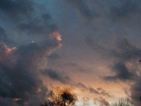 ciel -(306)