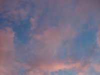 ciel -(354)