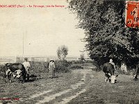 Bords de Seine